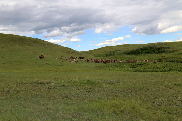 on the range